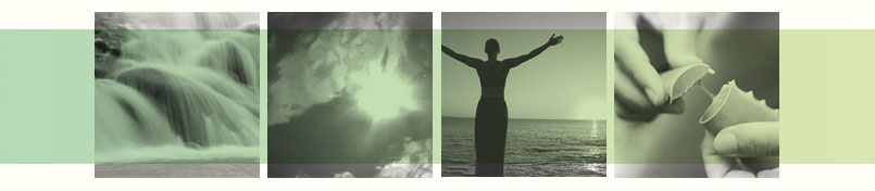 Washington Spa Alliance